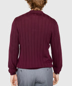 Long Sleeve Merino Wool Johnny Collar Polo